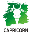 Horoscop 2016 Capricorn